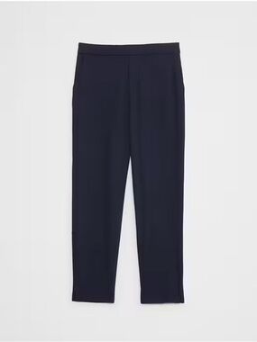 Banana Republic Black Hayden Pant.